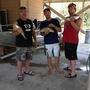 Meet your Posher, Bruce